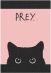 Шкурка Prey Cat