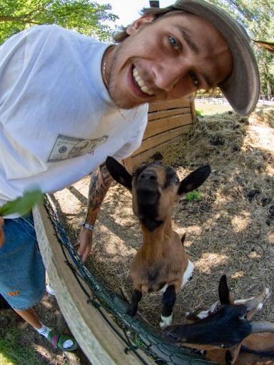 Фланелка RICH Dollar Goat