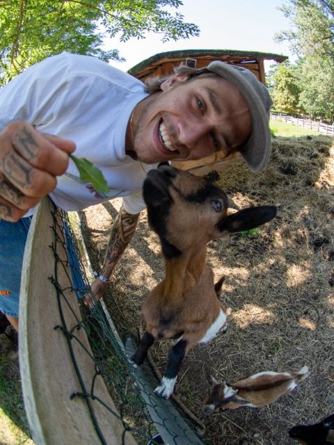 Фланелка RICH Dollar Goat