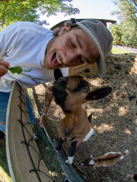 Фланелка RICH Dollar Goat
